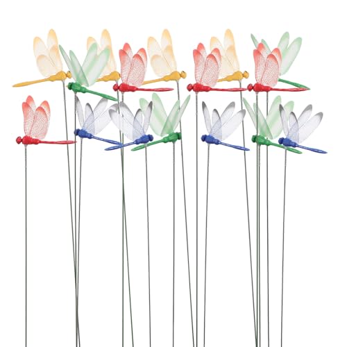 LABRIMP 40Jt?^x|px OԒd Aؔp hό󐫂őN₩ȐFʒ