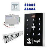 Tuya APP Kit di controllo accessi RFID a doppia frequenza, impermeabile IP68, Wiegand 26/34, lettore di schede 13,56 MHz + 125 KHz, retroilluminazione blu, adatto per controllo accessi residenziali e
