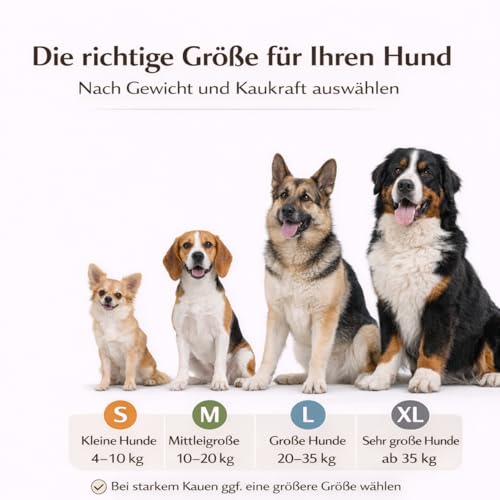 Alp Chew Olivenholz Kauholz für Hunde – Robustes Kauspielzeug zur Zahnpflege, Größe L (250–400 g), 2er Pack