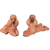 POODLE VARIETY 6冊セット POODLE VARIETY 6冊セット POODLE