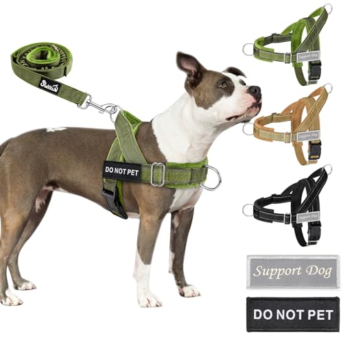 Eyein Hundegeschirr mit Leine für große mittelgroße Hunde, Weich gepolsterter Brustgeschirr mit 2 Leinenclips, Reflektierend & Leichtgewicht Anti Zug Geschirr für Spaziergänge Training, Grün, M