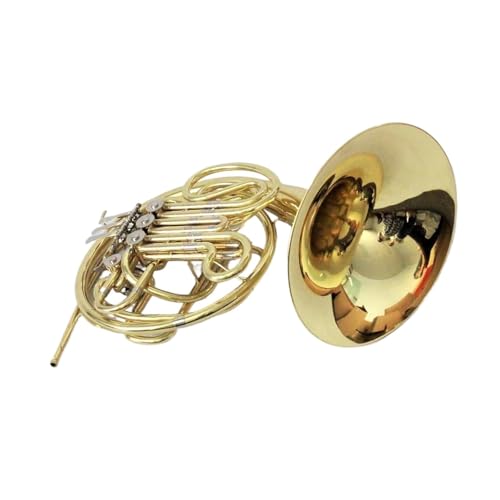 SҌt`zy l̃t`z̓I[PXgtɓKv̋Ǌył