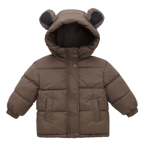BILIKEYU Little Boys Girls Puffer Coats Fuzzy Lined Zip up Windbreaker Jacket Winter Warm Cute Bear Hood