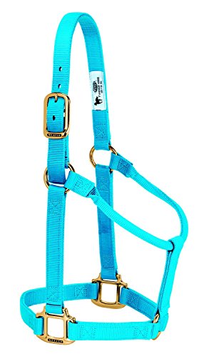 Cabestro Weaver Leather Original no ajustable en azul Hurricane Blue talla L
