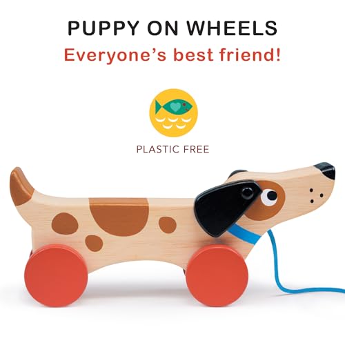 Image of Mentari Toys - Puppy on Wheels - Wooden Dog Pull Toy for Toddler Walking for 18M+ Boys and Girls - Sustainable Rubberwood - Educational Motor Skills & Imaginative Play - Gift for Preschoolers