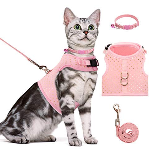 bingpet cat harness