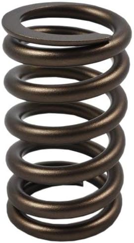 Amazon.com: PAC Racing Springs 1210X-16 Single 602 Crate Motor Ch ...