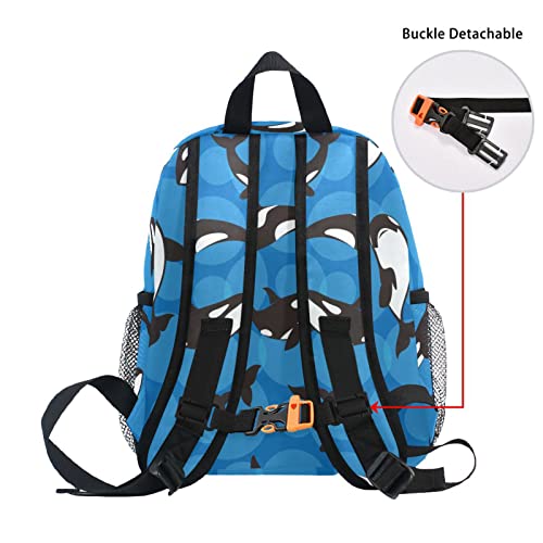 Kids Backpack for Boys Orca Killer Whale Blue Toddler Bags Children Preschool Kindergarten Small Chest Strap4