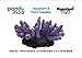 Purple Lilac Artificial Marine Coral Aquarium Fish Tank Decoration, Aquatic Habitat Safe Decoration | Underwater Sea Plants Resin Coral Ornament Decoration for Fish Tank Landscape