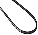 Dayco 5040539 POLY RIB Serpentine Belt