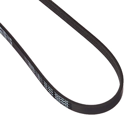 Cinturón serpentina Dayco 5040539 Poly soluciona chirridos y fallos de alternador