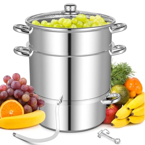 WXFKLDJ Estrattore Succo Vapore 11L