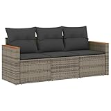 vidaXL Set de Sofá de Jardín y Cojines 3 pzas, Asientos con Respaldos, Sofás Modulares, Muebles para Patio Terraza, Ratán Sintético Gris