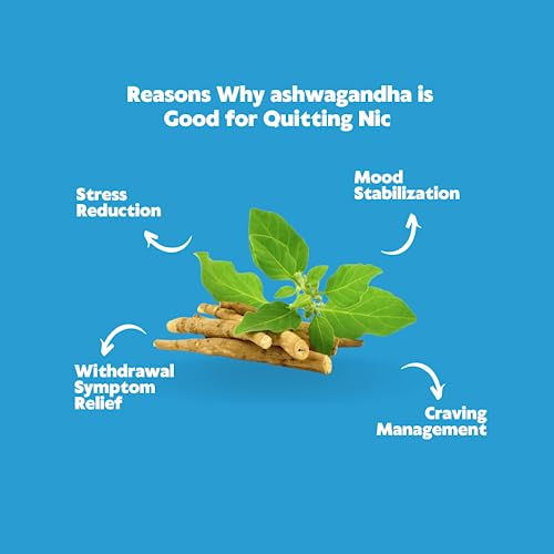 Quit-NIC-Quit-Smoking-Gummies-with-Ashwagandha-Plus-Zen-Calming-QUITNIC-to-Help-Stop-Smoking-Gummies-All-Natural-Nicotine-Free-Non-GMO-Vegan-60-Gummies-Value-Pack