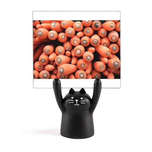 Support de photographie chat noir et carottes fraîches pour décor de studio