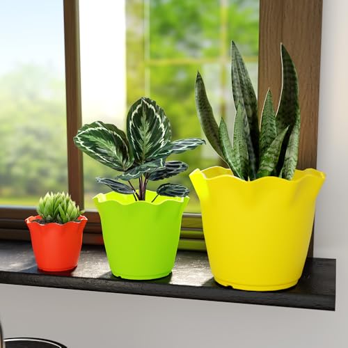 Image of YUCCABE ITALIA SHERA 4 Inch Plastic Flower Pot 12 Piece Set of Unbreakable Round Shape Planter for Home Garden Seedling, Indoor and Outdoor (Yellow)
