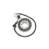 ElectroSport ESG748 Stator Suzuki GSX1300 Hayabusa