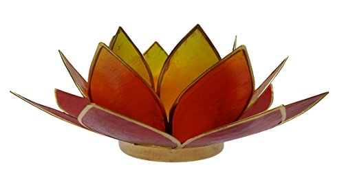 Trimontium Portacandela Fiore di Loto a Forma di