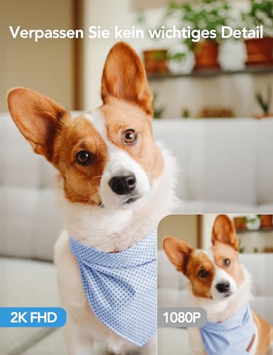 GNCC Überwachungskamera Innen - 2K Kamera Überwachung Innen, 360° WLANkamera Indoor Hundekamera mit APP, Babyphone mit Kamera, Zwei-Wege-Audio, Bewegungserkennung, Nachtsicht, kompatibel mit Alexa