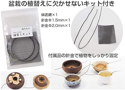 Amazon.co.jp: 盆栽妙 植木鉢 陶器鉢 盆栽鉢 山野草鉢 4号 金彩中深