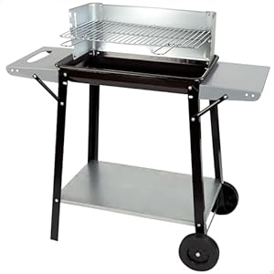 Aktive 52973 – Barbacoa carbón y leña 90x32x85 cm con control de temperatura y dos mangos extraíbles, 4 alturas regulables, 2 ruedas y asa de transporte, Fácil y rápida de montar