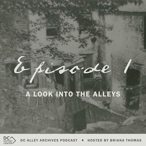 Hidden Lives of DC&rsquo;s Alleyways