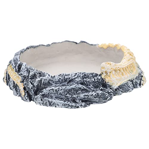 Ipetboom Bebedouro De Tigela De Comida De Lagarto Recinto Para Répteis Comedouro De Lagartixa Comedo