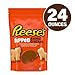 REESE'S Dipped Animal Crackers Pouch (24 oz.)