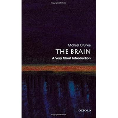 The Brain