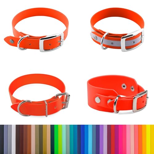 LENNIE 25mm breites Biothane Hunde-Halsband, Doppelstegschnalle, personalisiert mit Namen/Telefonnummer, schmutz-Wasser-abweisend