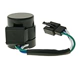 Blinkgeber 12V für Tauris SAMBA 50