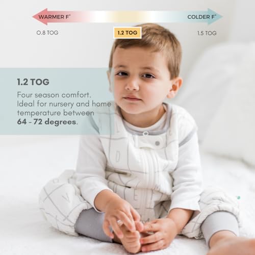 Image of Tealbee Dreamsuit Toddler Sleep Sack with Feet - Walker Sleep Bag with Legs, Rayon made from Bamboo, All Season 1.2 TOG, 2-Way Zipper, 2T-3T - Alphabet