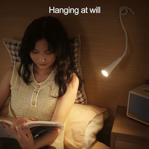 Image of Study Lamp