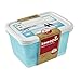 Produktbild keeeper Tiefkühldosenset 2-teilig, Wiederbeschreibbarer Deckel, 2 x 2 l, 20,5 x 15,5 x 10,5 cm, Mia Polar, Eisblau Transparent