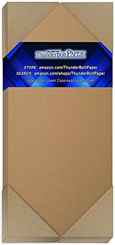 200 Brown Kraft Fiber 80# Cover Paper Sheets - 4" X 9" (4X9 Inches) #10 Envelope Insert Size - Rich Earthy Color with Natural Fibers - 80lb/pound Cardstock - Smooth Finish
