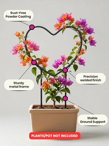 Image of Bombay Greens Heart Metal Trellis Climbers Support for Plants | Iron Garden Money Plant Climbers & Plant Support Stick | Rust Resistant Plant Support Ring for Indoor & Outdoor Garden Pots - Pack of 2