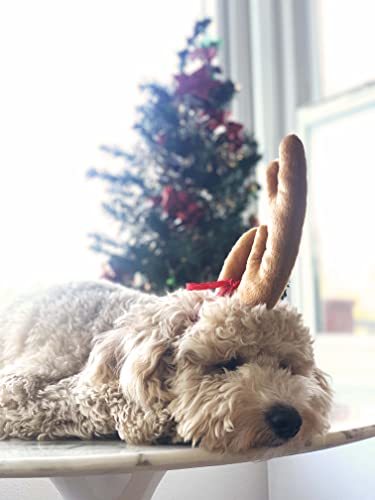 Disfraz de reno para perro XL con diadema ajustable miniatura 4