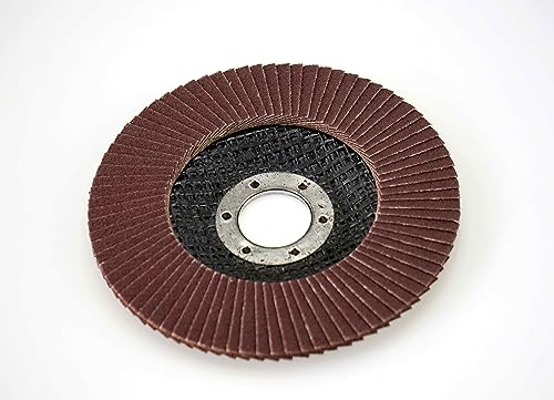 S&S-Shop 10 dischi a ventaglio Ø115 mm grana 80