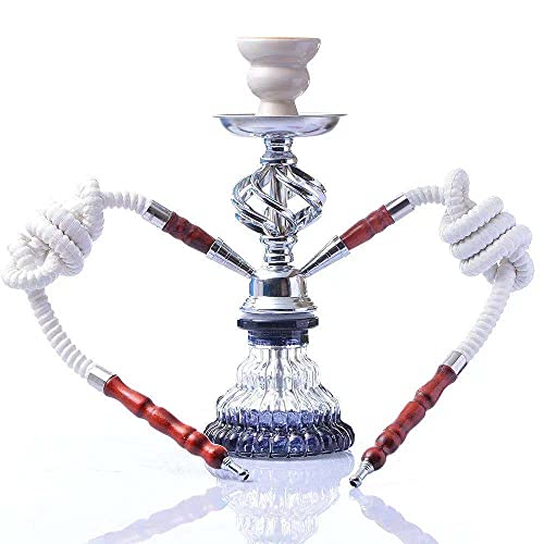 Theone Shisha Set 11-Zoll (ca. 27,9 cm) Premium 2-Rohr Hookah Komplettset, Tragbares Design Modernes mit Shisha-Zubehör…