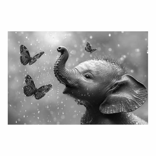 Toile Éléphant et Papillon pour salon moderne, grand poster noir et blanc de chambre 70x100cm