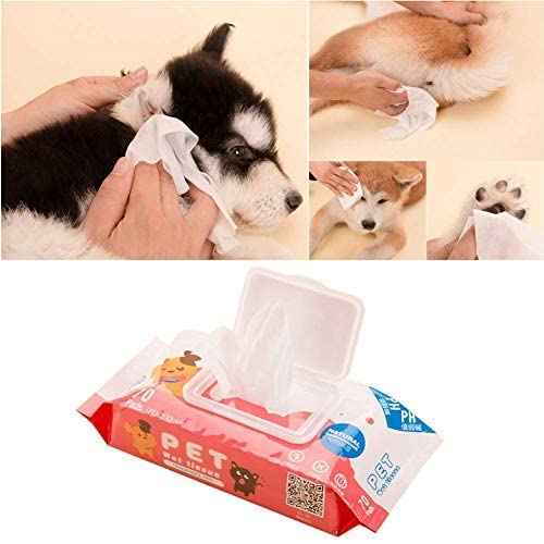 RvPaws Portable Hygienic Multipurpose Natural Moisturizing Pet Wet Tissue for Dog/Puppy/Cat/Kitten - 100 Wipes collar May Vary (B09P3TMZ19) Amazon Price History, Amazon Price Tracker
