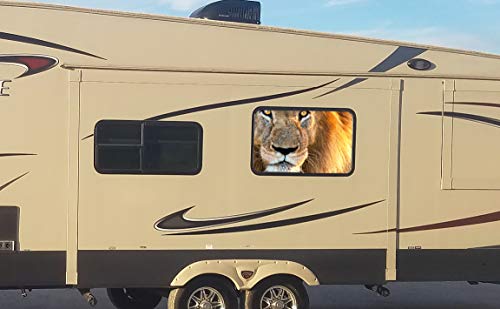 26x44 Lion Universal RV, Camper, 5TH Wheel, Toyhauler Window 50/50 Perforated Tint Vinyl Decal