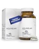 MoleQlar Magnesium L-Threonat Kapseln 90 Stück - Markenrohstoff Magtein mit offizieller EFSA-Zulassung - 150 mg elementares Magnesium pro Portion - Laborgeprüft in Deutschland