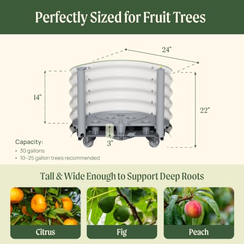 Image of Rolling Citrus Tree Planter Gen 3, Self-Watering 24 inch Wide Round Large Plant Pots for Lemon Trees Tomatoes Flowers, Raised Garden Beds with Wheels for Outdoor Patio Porch, 30 Gallon, Olive Green