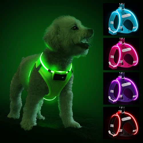 PcEoTllar Hundegeschirr Leuchtend, Leuchtgeschirr LED Aufladbar & Reflektierendes, Beleuchtetes Leuchtgeschirr für Welpe Klein Mittlere Hund, Atmungsaktiv Leucht Geschirr, Grün-S