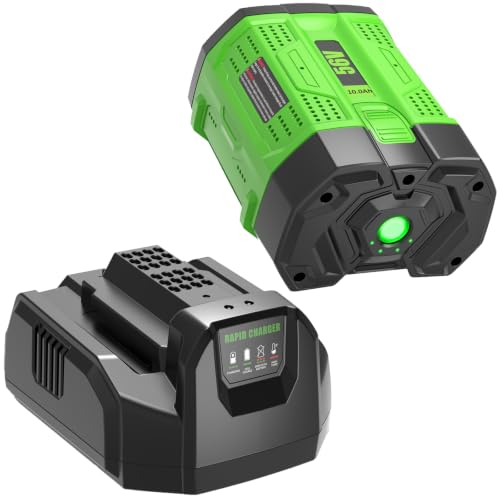 Image of 1 Pack Replacement for EGO 56V Battery 10Ah BA2800T and CH2100 Charger