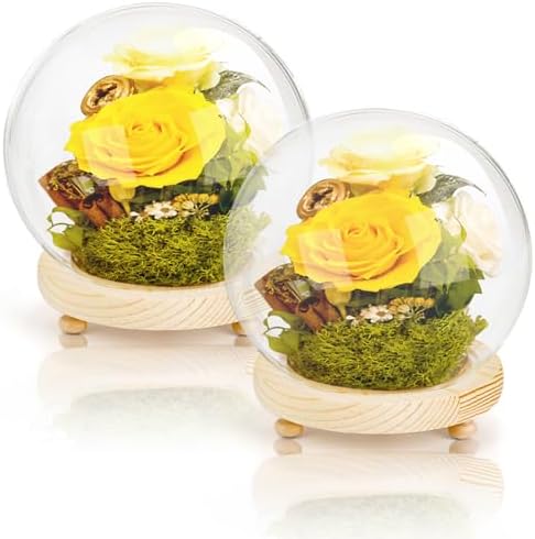 2 Pack Clear Glass Dome Cloche, 6 Inch Decorative Display Bell Ja...