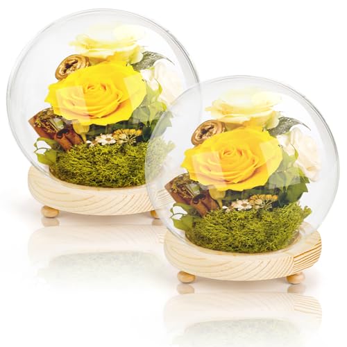 Pumtus 2 Pack Clear Glass Dome Cloche, 6 Inch Decorative Display Bell Jar with Wooden Base, DIY Snow Globes Case Keepsake Showcase for Flower Tabletop Centerpiece Home Christmas Party Decoration