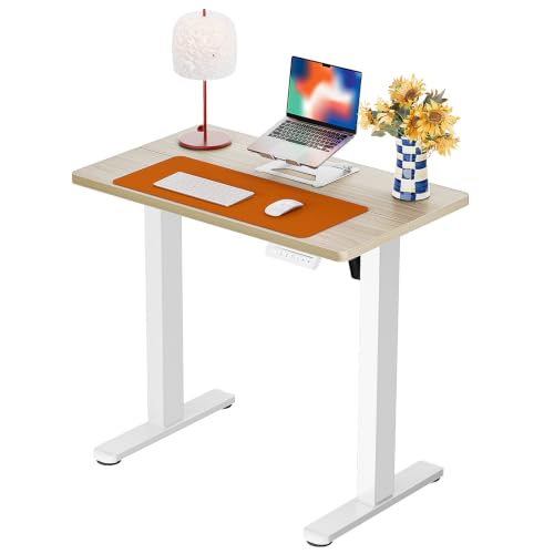 Image of ErGear Height Adjustable Electric Standing Desk, 32 x 19 Inches Sit Stand up Desk, Memory Computer Home Office Desk, Natural