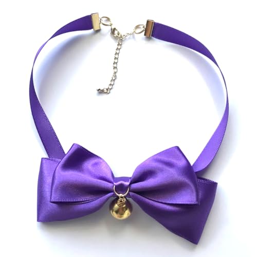 i쎛/yMhjy`[J[b1z̃`[J[{y [^ ߂킢 SX `[J[ RXv ʎY^ nn  ZNV[z ()